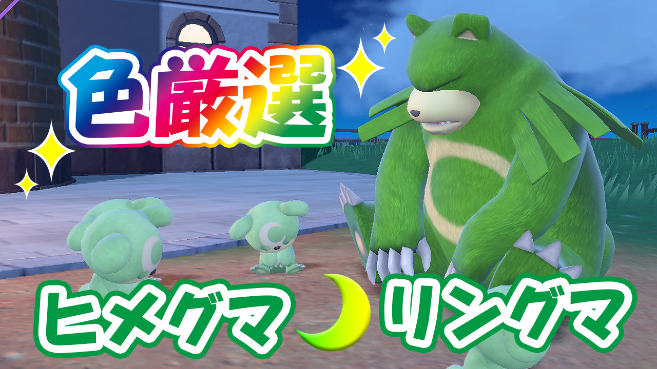 ポケモンSV】色厳選☆ヒメグマ、リングマ - おっちゃんの遊び場